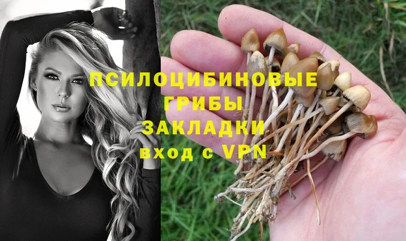 Галлюциногенные грибы Psilocybe  МЕГА рабочий сайт  Арсеньев 